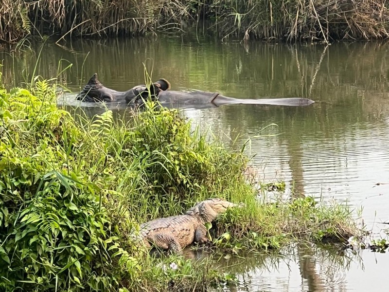 Nature And Wildlife